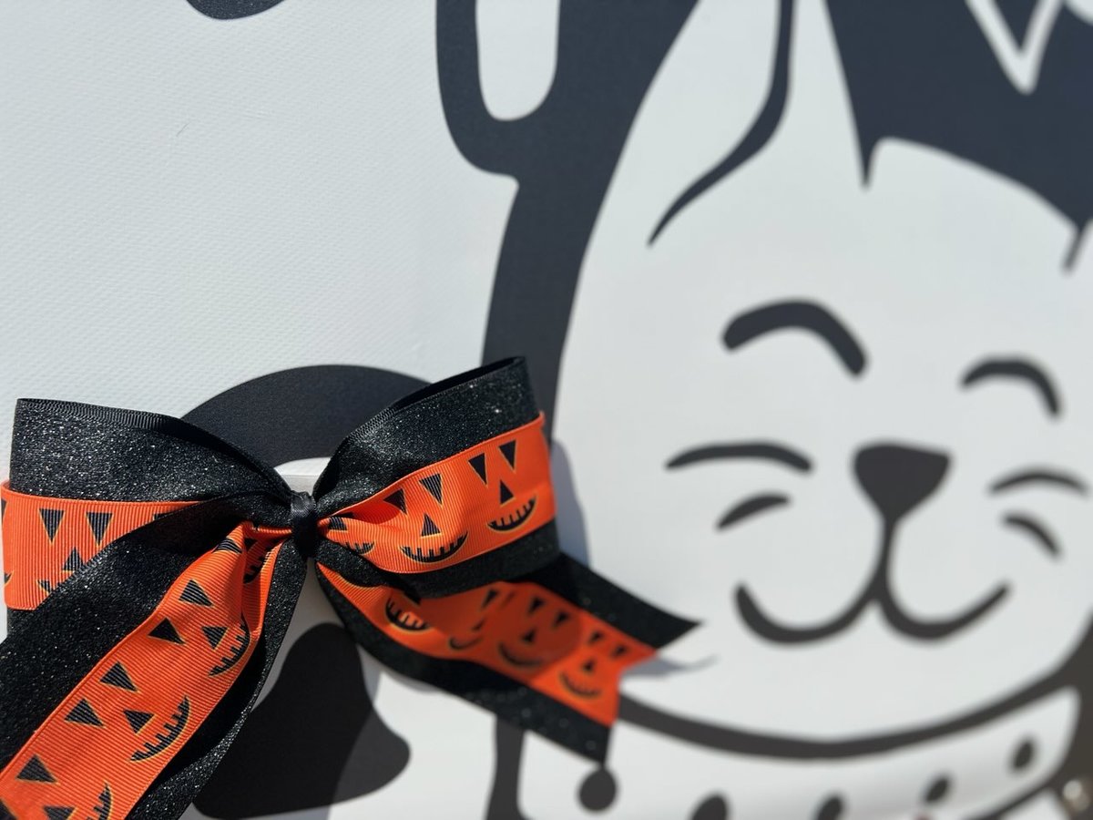 Go Big or Gourd Home